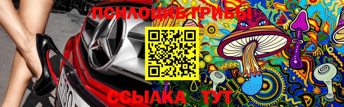 Галлюциногенные грибы Psilocybine cubensis  Вход с VPN  Амурск 